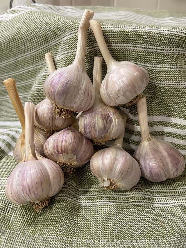 Heirloom Fire! (Pre Order)