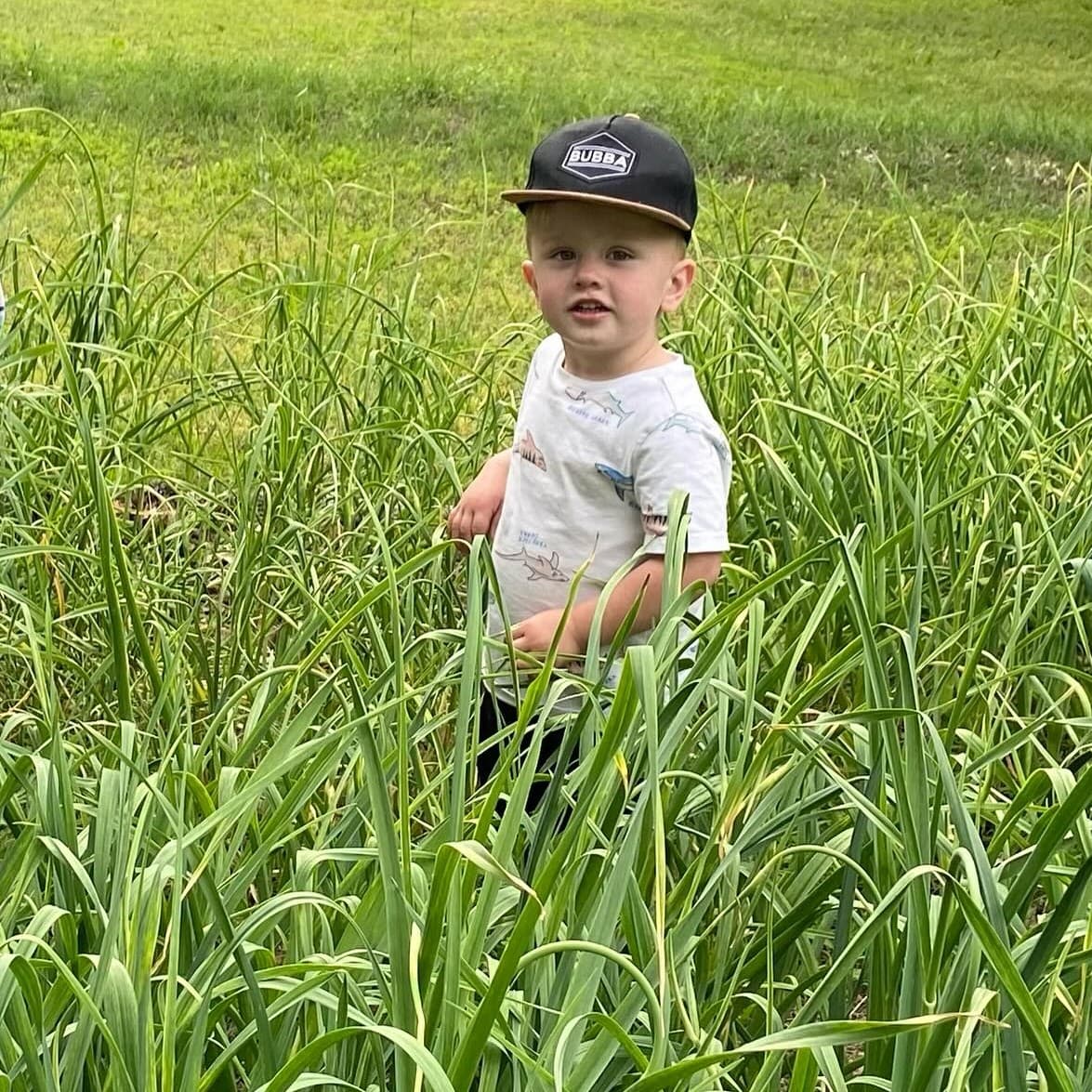 Heirloom Garlic Company LLC gallery image 1